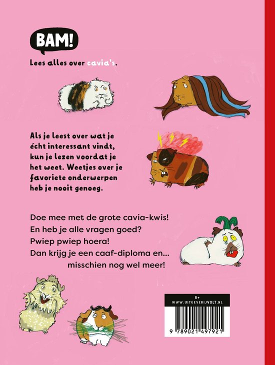 BAM!-serie | De grote cavia-kwis