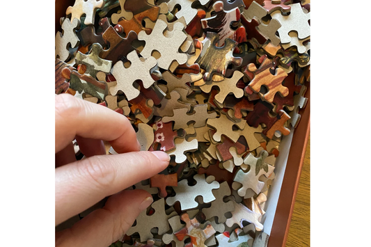 Puzzel cosy in the woods