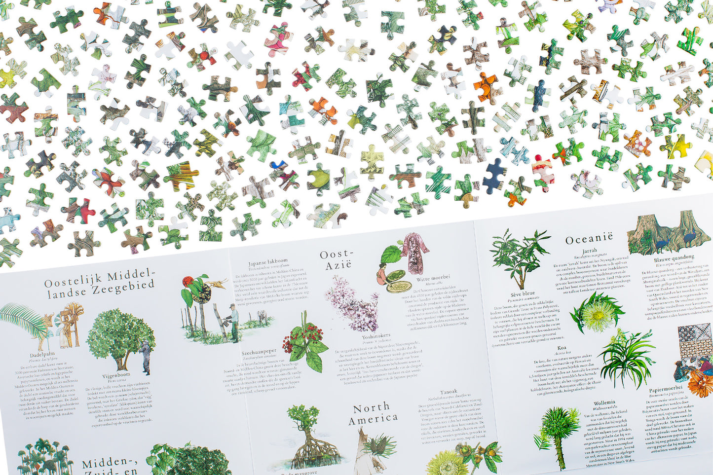 De wereld rond in 50 bomen - puzzel