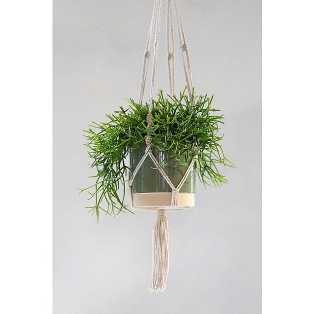 Plantenhanger Still natural