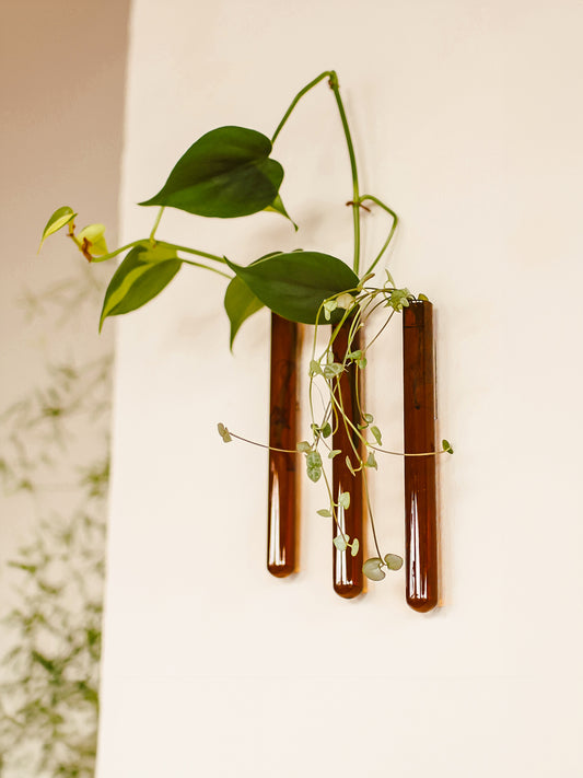 Muurbloempjes 3-pack