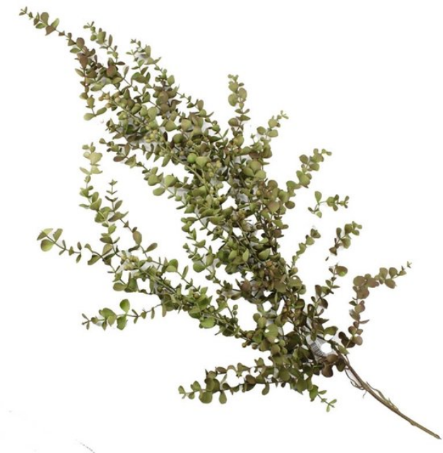Kunsttak Eucalyptus hangend