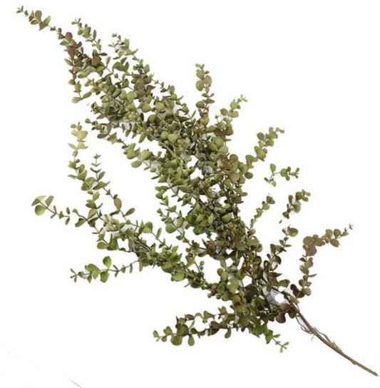 Kunsttak Eucalyptus hangend