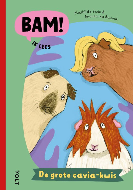 BAM!-serie | De grote cavia-kwis