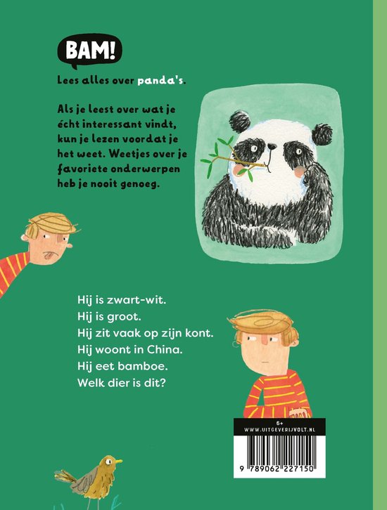 BAM!-serie | Een boek over panda's