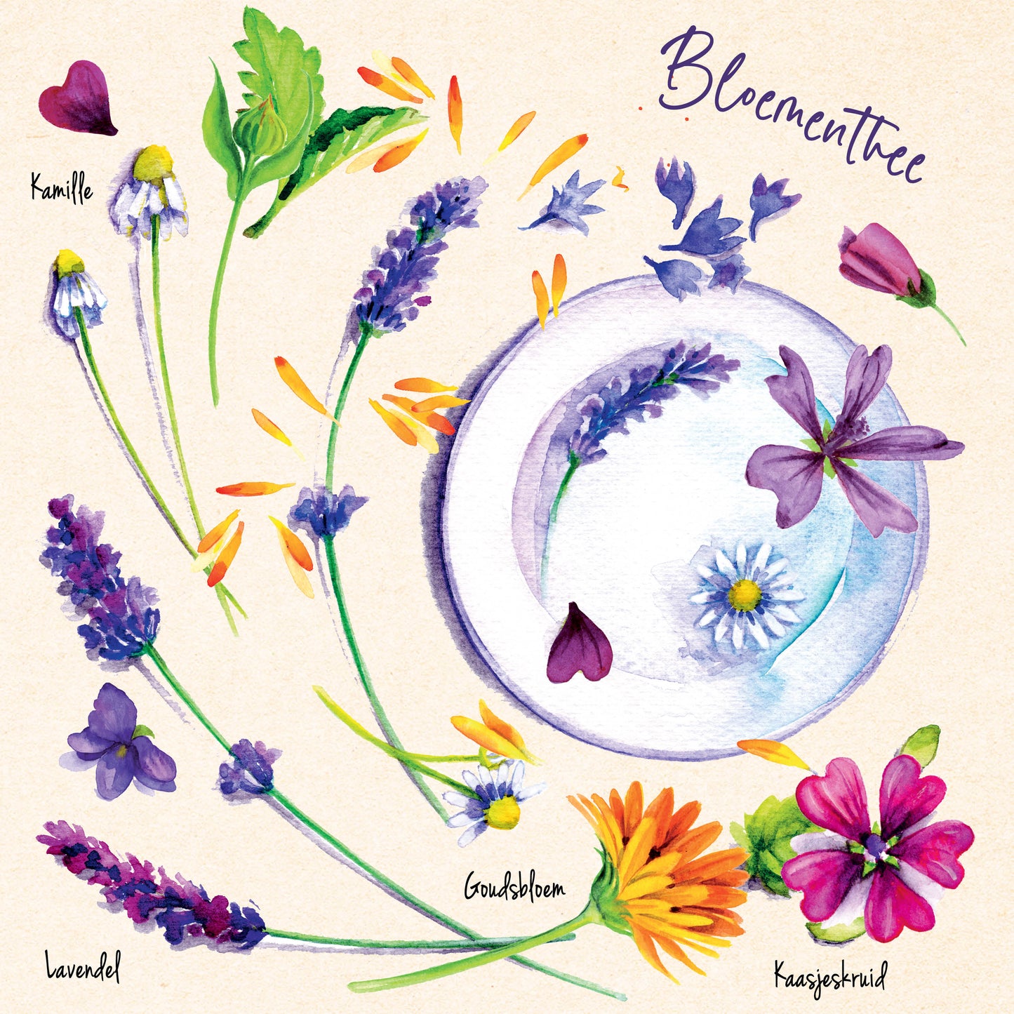 Eetbare bloemen recepten | Mapje met 6 postkaarten
