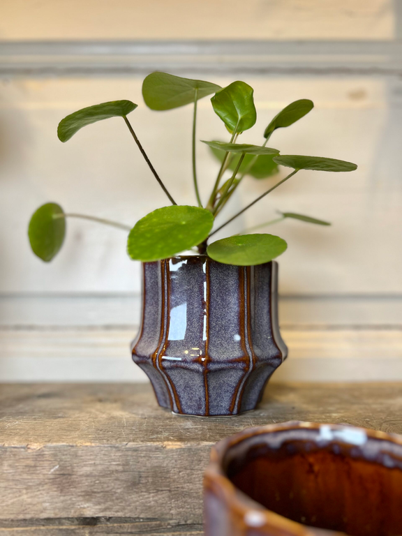 Bloempot Skyper