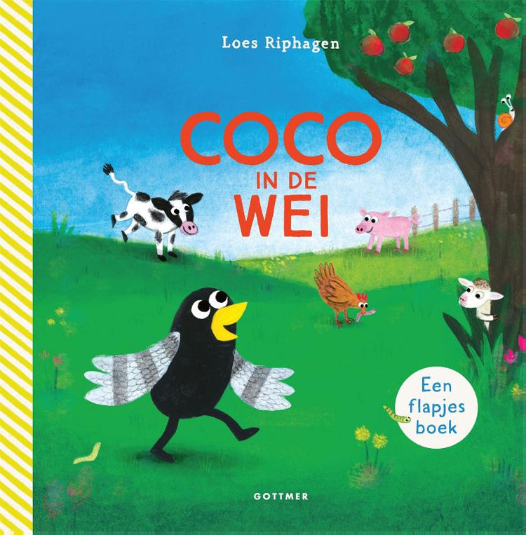 Coco in de wei