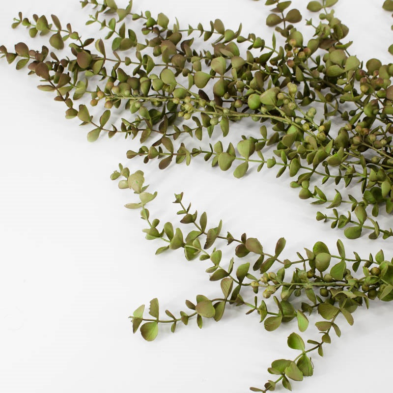 Kunsttak Eucalyptus hangend