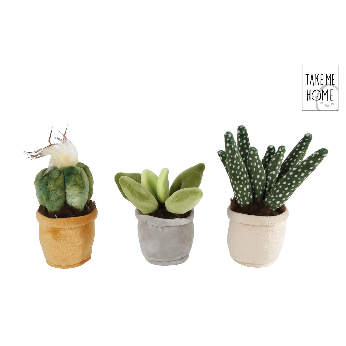 Knuffel plant assorti