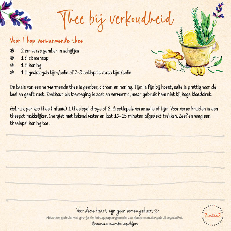 Kruidenrecepten | Mapje met 6 postkaarten